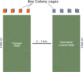 Illustration: Bee Colony Cages